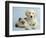 Clara and Cassie-Rachael Hale-Framed Photographic Print