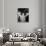 Clara Bow (1905-1965) 1930 (b/w photo)-null-Photo displayed on a wall