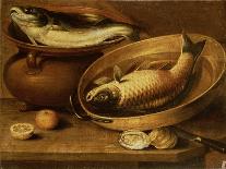 A Still Life with Carp in a Ceramic Colander, Oysters, Crayfish, Roach and a Cat on the Ledge…-Clara Peeters-Framed Giclee Print