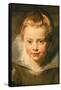 Clara Serena, circa 1616-Peter Paul Rubens-Framed Stretched Canvas