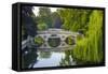 Clare and King's College Bridges over River Cam, the Backs, Cambridge, Cambridgeshire, England-Alan Copson-Framed Stretched Canvas