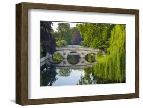 Clare and King's College Bridges over River Cam, the Backs, Cambridge, Cambridgeshire, England-Alan Copson-Framed Photographic Print