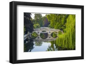 Clare and King's College Bridges over River Cam, the Backs, Cambridge, Cambridgeshire, England-Alan Copson-Framed Photographic Print