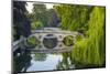 Clare and King's College Bridges over River Cam, the Backs, Cambridge, Cambridgeshire, England-Alan Copson-Mounted Photographic Print