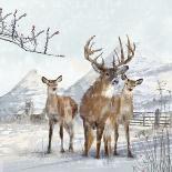 Stag And Females-Clare Davis London-Giclee Print