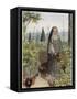 Clare of Assisi Tending to Plants-Eleanor Fortescue Brickdale-Framed Stretched Canvas