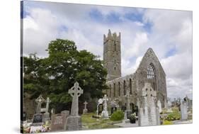 Claregalway Franciscan Friary, Near Galway, County Galway, Connacht, Republic of Ireland-Gary Cook-Stretched Canvas