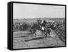 Clarence Hailey Long, Texas Cowboy on His Small Ranch Roping Cattle-null-Framed Stretched Canvas