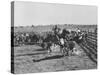 Clarence Hailey Long, Texas Cowboy on His Small Ranch Roping Cattle-null-Stretched Canvas