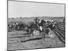 Clarence Hailey Long, Texas Cowboy on His Small Ranch Roping Cattle-null-Mounted Photographic Print