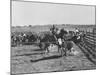 Clarence Hailey Long, Texas Cowboy on His Small Ranch Roping Cattle-null-Mounted Photographic Print