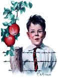 "Boy Tempted by Apples," Saturday Evening Post Cover, October 4, 1924-Clarence William Anderson-Laminated Giclee Print