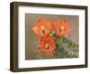 Claret Cup Cactus Flowers, Hill Country, Texas, USA-Rolf Nussbaumer-Framed Photographic Print