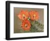 Claret Cup Cactus Flowers, Hill Country, Texas, USA-Rolf Nussbaumer-Framed Photographic Print