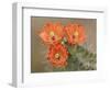 Claret Cup Cactus Flowers, Hill Country, Texas, USA-Rolf Nussbaumer-Framed Photographic Print