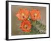 Claret Cup Cactus Flowers, Hill Country, Texas, USA-Rolf Nussbaumer-Framed Photographic Print