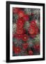 Claret Cup-Michael Greene-Framed Giclee Print