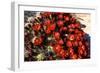 Claretcup Cactus (Echinocereus Triglochidiatus) in Bloom-Richard Wright-Framed Photographic Print