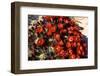 Claretcup Cactus (Echinocereus Triglochidiatus) in Bloom-Richard Wright-Framed Photographic Print