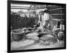 Clarifying Sugar Cane Juce, Annam, Vietnam, 1922-null-Framed Giclee Print