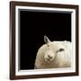 Clarissa-Linda Wood-Framed Giclee Print