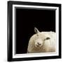 Clarissa-Linda Wood-Framed Giclee Print