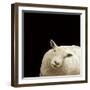 Clarissa-Linda Wood-Framed Giclee Print