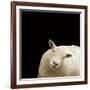 Clarissa-Linda Wood-Framed Giclee Print