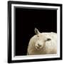 Clarissa-Linda Wood-Framed Giclee Print