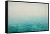 Clarity-Angus Hampel-Framed Stretched Canvas