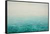 Clarity-Angus Hampel-Framed Stretched Canvas