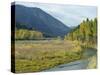 Clark Fork River in the Fall, at Tarkio, Rocky Mountains, West Montana, USA-Robert Francis-Stretched Canvas