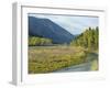 Clark Fork River in the Fall, at Tarkio, Rocky Mountains, West Montana, USA-Robert Francis-Framed Photographic Print