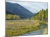 Clark Fork River in the Fall, at Tarkio, Rocky Mountains, West Montana, USA-Robert Francis-Mounted Photographic Print