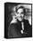 Clark Gable-null-Framed Stretched Canvas