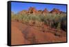 Clark Memorial wash, Valley of Fire State Park, Overton, Nevada, United States of America, North Am-Richard Cummins-Framed Stretched Canvas