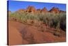 Clark Memorial wash, Valley of Fire State Park, Overton, Nevada, United States of America, North Am-Richard Cummins-Stretched Canvas