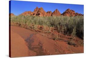 Clark Memorial wash, Valley of Fire State Park, Overton, Nevada, United States of America, North Am-Richard Cummins-Stretched Canvas