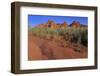 Clark Memorial wash, Valley of Fire State Park, Overton, Nevada, United States of America, North Am-Richard Cummins-Framed Photographic Print