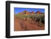 Clark Memorial wash, Valley of Fire State Park, Overton, Nevada, United States of America, North Am-Richard Cummins-Framed Photographic Print