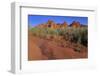 Clark Memorial wash, Valley of Fire State Park, Overton, Nevada, United States of America, North Am-Richard Cummins-Framed Photographic Print