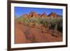 Clark Memorial wash, Valley of Fire State Park, Overton, Nevada, United States of America, North Am-Richard Cummins-Framed Photographic Print