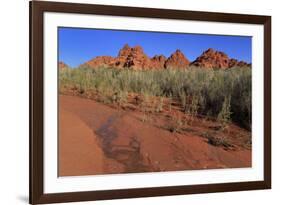 Clark Memorial wash, Valley of Fire State Park, Overton, Nevada, United States of America, North Am-Richard Cummins-Framed Photographic Print