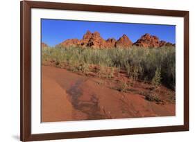 Clark Memorial wash, Valley of Fire State Park, Overton, Nevada, United States of America, North Am-Richard Cummins-Framed Photographic Print