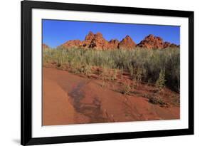 Clark Memorial wash, Valley of Fire State Park, Overton, Nevada, United States of America, North Am-Richard Cummins-Framed Photographic Print