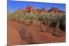 Clark Memorial wash, Valley of Fire State Park, Overton, Nevada, United States of America, North Am-Richard Cummins-Mounted Photographic Print