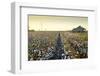 Clarksdale, Mississippi, Cotton Field, Delta-John Coletti-Framed Photographic Print