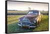 Clarksdale, Mississippi, Cotton Field, Vintage Buick Super (1950)-John Coletti-Framed Stretched Canvas