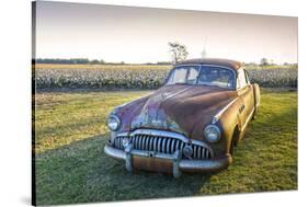 Clarksdale, Mississippi, Cotton Field, Vintage Buick Super (1950)-John Coletti-Stretched Canvas