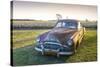 Clarksdale, Mississippi, Cotton Field, Vintage Buick Super (1950)-John Coletti-Stretched Canvas